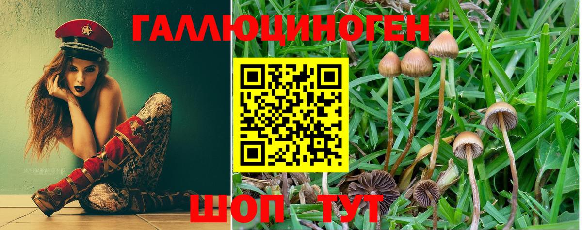 Галлюциногенные грибы Magic Shrooms  Медногорск 