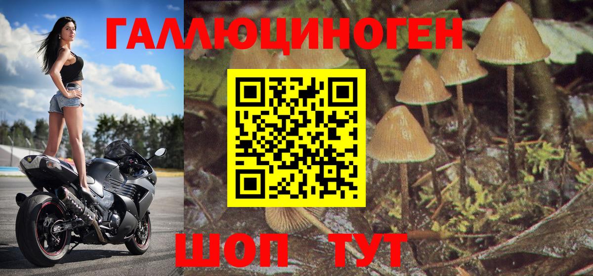 Галлюциногенные грибы Cubensis Медногорск
