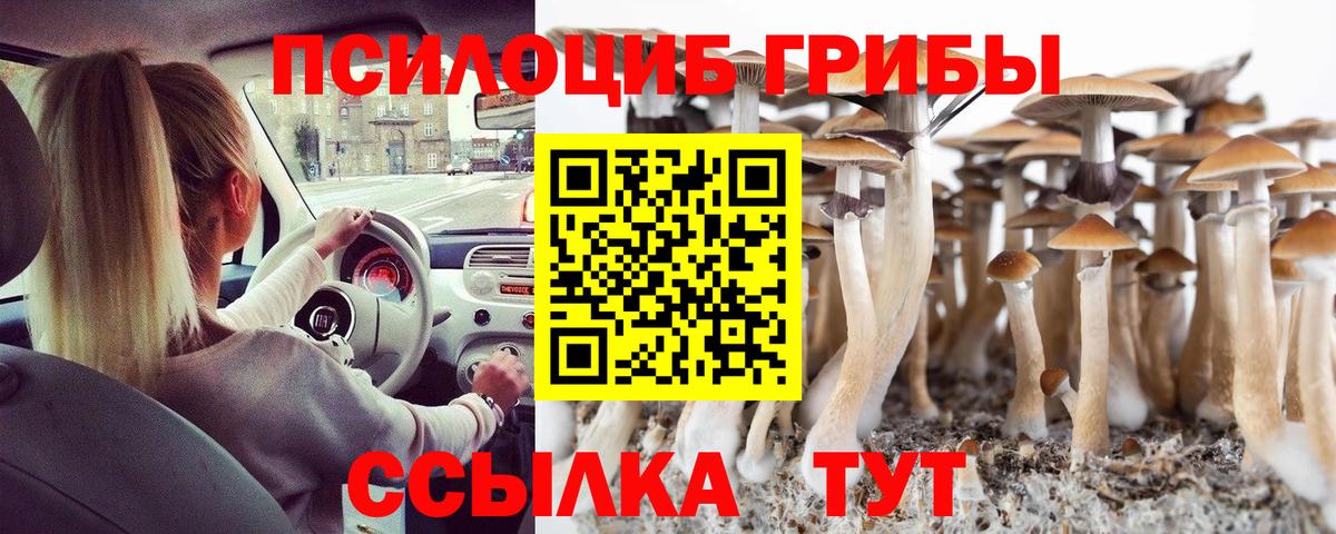 Галлюциногенные грибы прущие грибы Медногорск