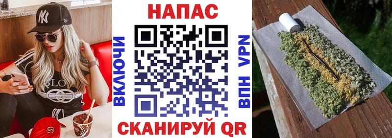гидра как войти  Медногорск  Марихуана сатива 